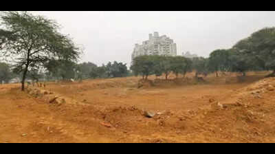 NGT grants 6 more months to GMDA for long-delayed waterbody restoration
