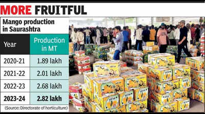 Tauktae effect: New trees make mango output climb steadily