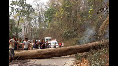 4 KOL STUDENTS INJURED IN HILLS