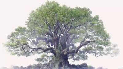 Keigo Higashino’s The Keeper of the Camphor Tree to receive First Anime Film Adaptation in 2026