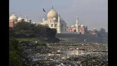 SC seeks revised budget for Taj zone tree census after FRI excludes areas