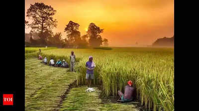 Andhra Pradesh government forms committee to attract investments, tech into farming sector