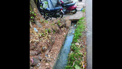 Ponda municipality warns 1.5k units to get sewerage connections or lose water supply