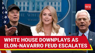 Trump Tariffs: Elon-Navarro Feud Escalates; White House Brushes Aside With 'Boys Will Be Boys'