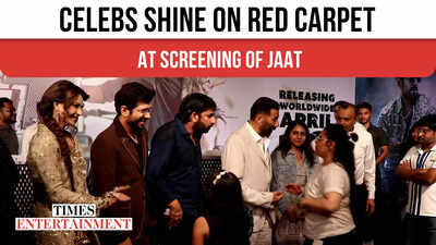 Celebs Shine on Red Carpet at Screening of Jaat
