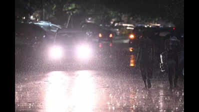 Uprooted trees cause traffic chaos