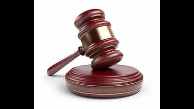 HC overturns trial court order on plea to impound document