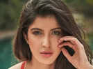 'Student of the Year 3' web series starring Shanaya Kapoor to begin filming soon