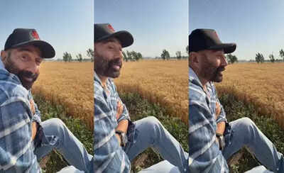 Sunny Deol finds 'sukoon' in the fields after his flight gets delayed