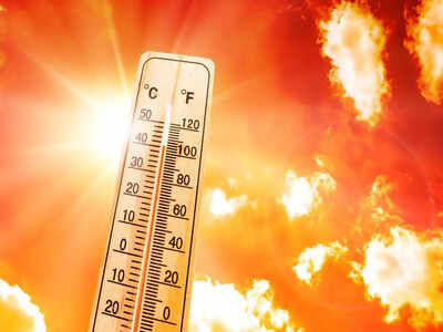Weather update: IMD issues heatwave warning for Delhi; heavy rain alert for these places