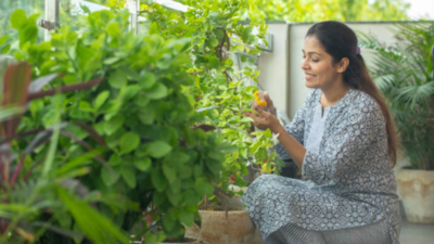From developing a growth mindset to positive acceptance: How gardening can help in improving life