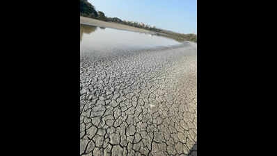 Wind course, dry soil caused 2022 heatwaves: Study