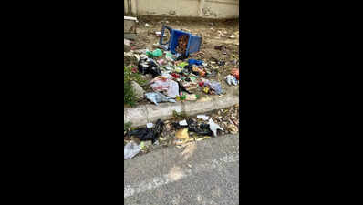 Water woes tumble out in open as pipeline bursts in Gr Noida sectors, floods streets