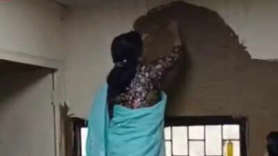 ‘Fans and coolers can’t be substituted’: Why DU principal’s cow dung cooling hack won't work