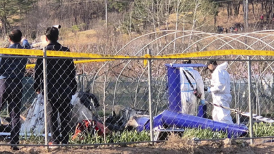 Airport was repeatedly warned on bird strikes before deadly South Korea crash