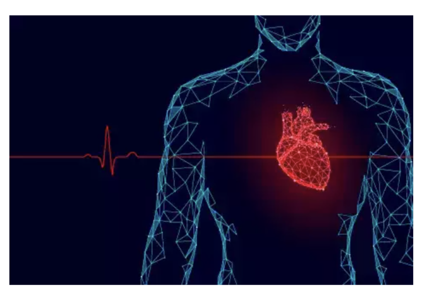 5 April || Medithon Heart