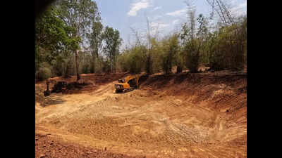 10 ponds in Shivamogga zoo revived with support from SKDRDP under Namma Kaadu Namma Kere project