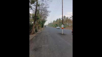 Teen killed accident caused by electric poles in middle of Shiye-Bawda Road in Kolhapur