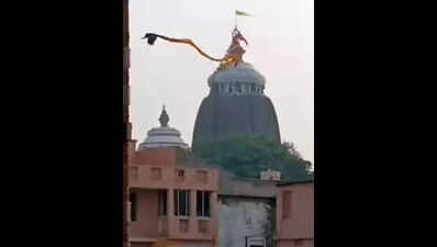 Eagle carries away flag from atop Puri temple