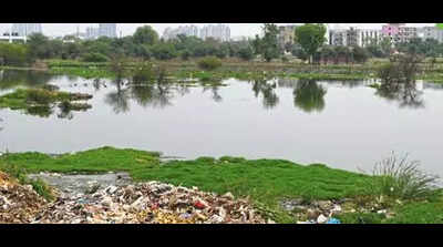 No checks, sewage dumped illegally at vacant plot, toxic pond comes up in Gurgaon