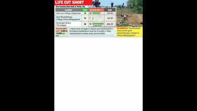 Trees translocation bid fails, green activists caution authorities