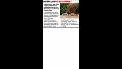 National Green Tribunal asks Raigad collector to submit report on felling of mangroves and waste dumping
