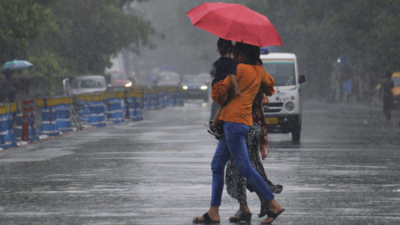 IMD predicts ‘above normal’ rainfall in India this monsoon, sends positive signal to farm sector