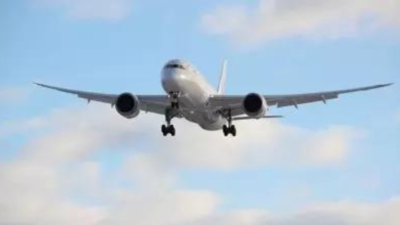 Indian-origin techie slams IndiGo after flight delay costs him Rs 50,000