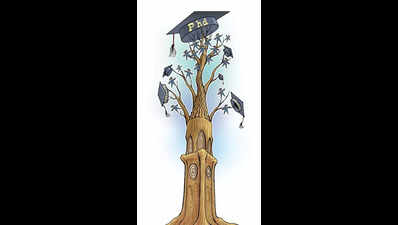 Apply for PhD progs at DAVV from May 15