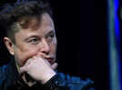 Elon Musk wants a legion of children because of THIS surprising reason!