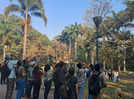 Bengaluru’s bird walk is a wake-up call to protect and preserve the birdies