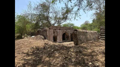 Seven-storey deep stepwell discovered among bushes In Vasad