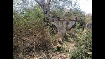 Seven-storey deep stepwell discovered among bushes In Vasad