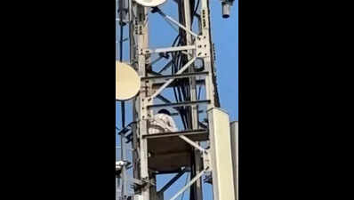 Farmer climbs atop cell tower alleging official apathy, threatens to end life in Anakapalle district