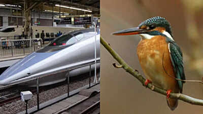 Why is the bullet train’s nose shaped like a beak of a bird - here’s the real reason