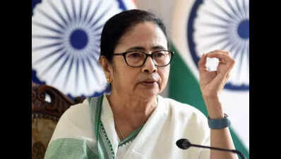 Mamata announces state plans for slew of power plants