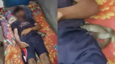 Viper used as murder weapon decoy in Meerut was rented from snake charmer for Rs 1,000