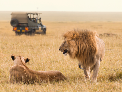 Jeep, canoe, elephant — or foot? India’s wildest safari options