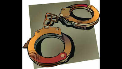 Man held for attacking vehicles with sword