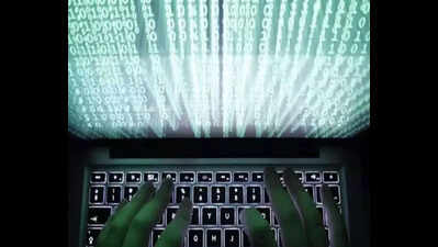 Cyber fraudsters dupe city bizman of Rs 2.6 cr