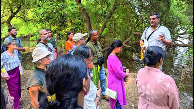 Global challenge to help identify local biodiversity