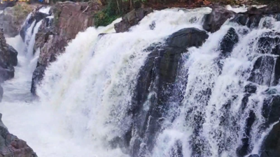 Cauvery water flow increased at Hogenakkal