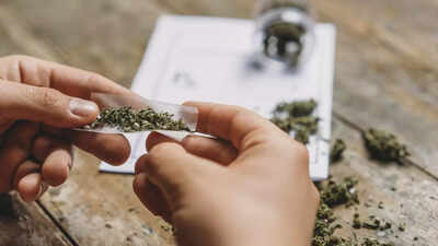 'Weed holiday' coincides with Easter 2025: History and significance of April 20 or 4/20 explained