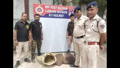 RPF rescues 450 frogs at Silchar railway stn