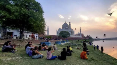 SC to FRI: Count every tree in Taj zone, except those in forests