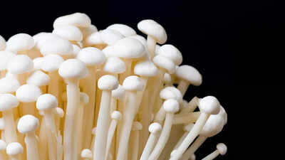 FDA issues nationwide recall of popular brand of enoki mushrooms due to possible health risks