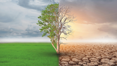 Small changes, big impact: Switch to sustainability in your daily routine