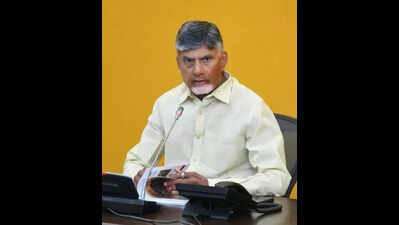 Andhra Pradesh chief minister Chandrababu Naidu to meet Union ministers in Delhi