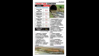 2 major rivers heavily polluted: OSPCB study