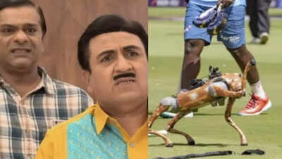 Taarak Mehta Ka Ooltah Chashmah fans express excitement as IPL’s new robotic dog is named ‘Champak